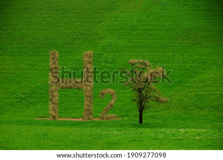 hydrogen h2 letters with brown leaves like a tree on a green meadow in the nature