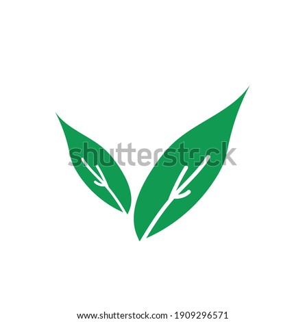 Leaves icon vector. Various shapes of green leaves trees and plants. Elements for eco green and summer tropical paradise advertising design vacation