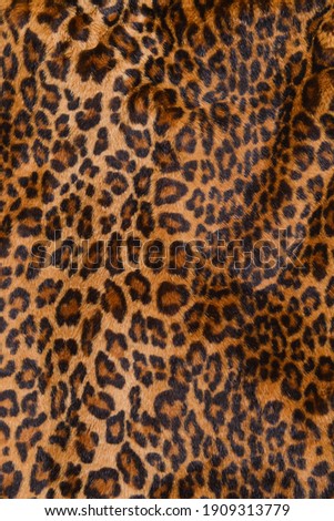 Texture and pattern of leopard for background

 Royalty-Free Stock Photo #1909313779
