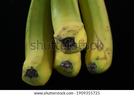 some bananas of a nice color faded between yellow and green isolated, photos of bananas in the studio, imperfections on the peel of bananas
