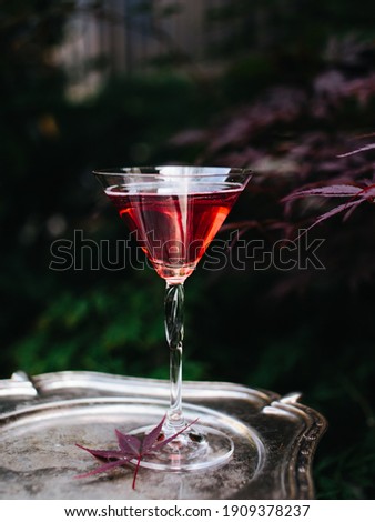Red cocktail on a background of maple leaves