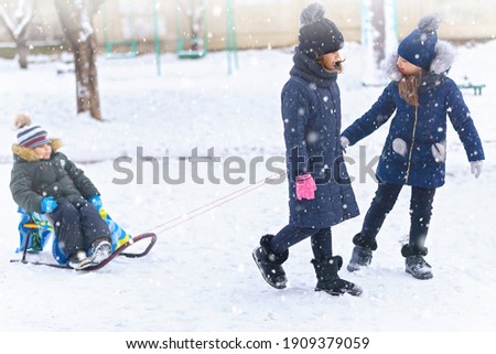 children plays and sleigh rides in winter outdoor, they having fun on snowy winter
