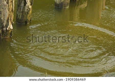 Close up of the ripples in the water of a pond, selective focusing