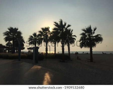 Picture of Palm Jumeirah Beach.