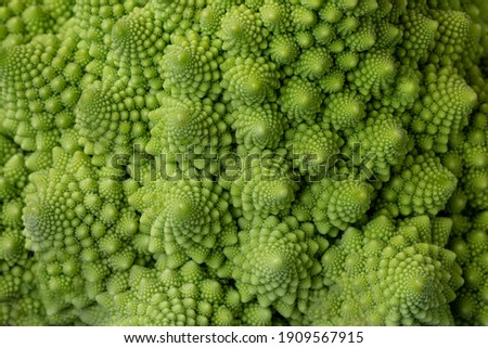 Romanesco cabbage (Romanesque broccoli). Vegetarian food. Healthy lifestyle.  Royalty-Free Stock Photo #1909567915