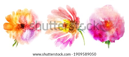 Watercolor flowers isolated on white background. Set