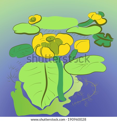 Yellow water lilies and green leaves on radiant background. With algae.