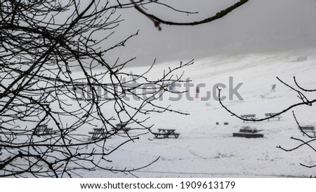 Silhouette of tree branches in a park on a foggy winter day after a snowfall. Empty picnic tables in snow-covered field background