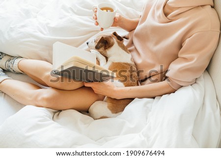 Reading at home in bed with pet. Cozy home weekend with note book, dog and hot tea. Pink and white. Chilling winter mood. Relaxed slim woman in bed holding notebook and drinking tea. warm wool socks Royalty-Free Stock Photo #1909676494