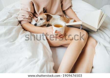napping small dog on laps of slim woman in white comfortable bed. Holding book and cup of tea. Enjoying relaxed weekend mood with pet at home during quarantine. Pink hoodie jumper atmosphere of trust Royalty-Free Stock Photo #1909676503