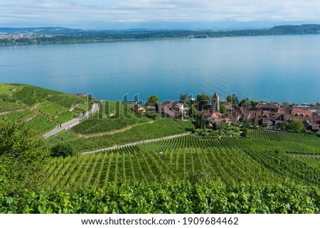 Twann, Switzerland - August 14, 2019 - View of the vine plantations in Twann