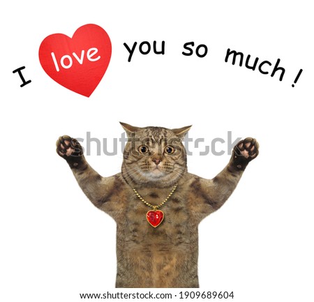 A beige cat is in love. I love you so much. White background. Isolated.