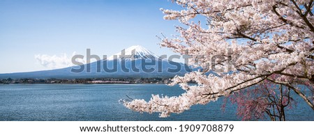 Panoramic view of Mount Fuji with cherry blossom tree, Lake Kawaguchiko, Japan Royalty-Free Stock Photo #1909708879