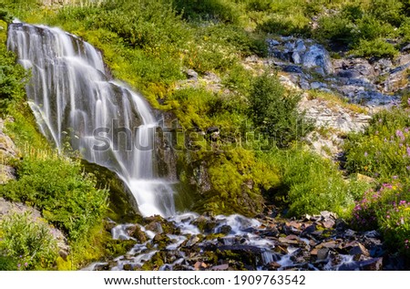 beautiful flowers of Vidae Waterfall at Crater Lake National Park
