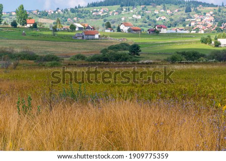 Grassland field in the mountain countryside