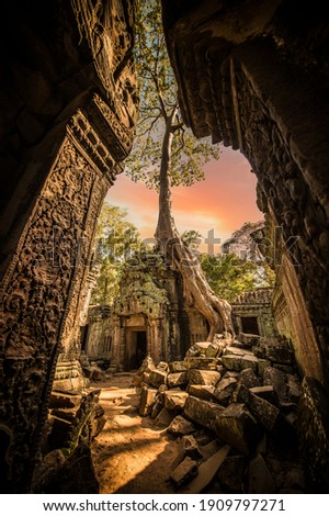 (Selective focus) Stunning view of the Ta Prohm temple with a big old tree. Ta Prohm is the modern name of the temple in Siem Reap, Cambodia. Royalty-Free Stock Photo #1909797271