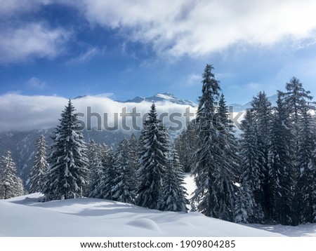 Schamserberg, Switzerland: Winter landscape of the Schamserberg and Piz Beverin nature park.