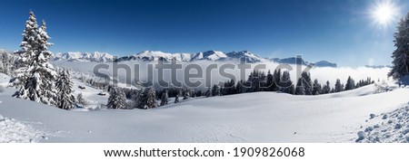 Schamserberg, Switzerland: Winter landscape of the Schamserberg and Piz Beverin nature park. Royalty-Free Stock Photo #1909826068