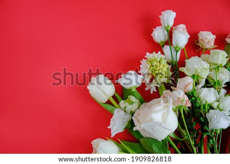 Beautiful white flowers on a red background