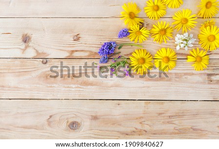 yellow spring flowers are laid out on a wooden background. Top view.