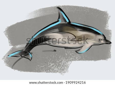 the illustration of the dolphin under water