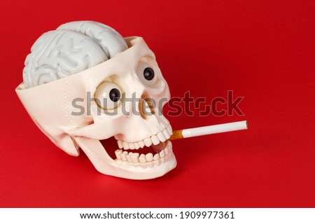 Medicine and science concept. On a red background, a skull with a cigarette in his mouth