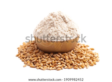 Spelt Grain and Flour Isolated on a White Background Royalty-Free Stock Photo #1909982452
