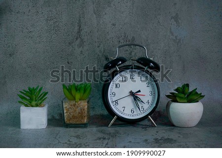 Close up succulents and cactus in the pots and alarm clock isolated grey background. Potted indoor house plants. Modern minimalistic interior 