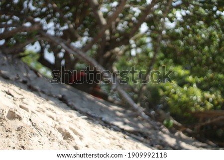 beach sand of abstract background
