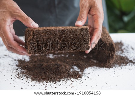 Coco peat for gardening. Coco peat is growing medium made out of coconut husk. Royalty-Free Stock Photo #1910054158