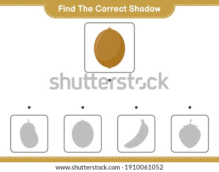 Find the correct shadow. Find and match the correct shadow of Kiwi. Educational children game, printable worksheet, vector illustration