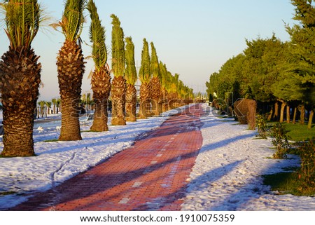 
Bike path in the snow
