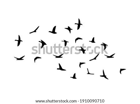 Flock of flying birds isolated on white background. Vector