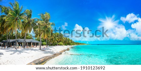 Beauty view of beach line with tall palms tree and ocean. White sand. Bright tropical summer sun and blue sky with light clouds. Wide format.