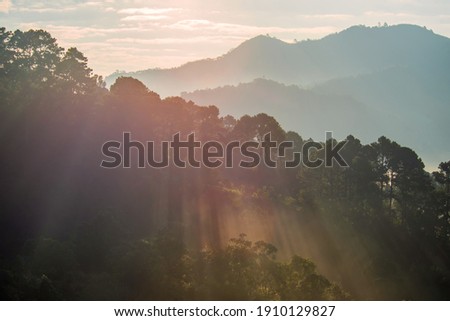 Chiang Mai trip nature pictures Photo of Mae Ya Waterfall, Strawberry Rai, a beautiful landmark of the province, MaeHongSon, Mexican yellow sunflower field on a mist on a mountain, Tha