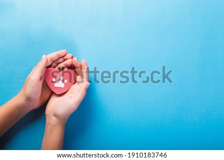 World Animal and Pet Day concept. Hands holding a heart with pet feet on a light blue background. Royalty-Free Stock Photo #1910183746