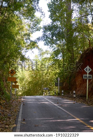 A road in the jungle of northern Thailand. Chiang Mai province. Mae taeng district 