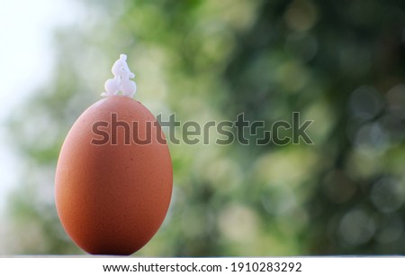 Close up egg on wood table background and space, business idea concept