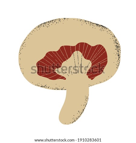 
vector isolated sticker - cap mushroom. Edible white mushroom champignon. Fungus spores and harvest in the forest. Hand drawing style