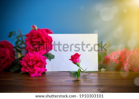 bouquet of beautiful red roses on blue background