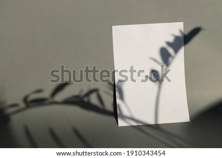 Winter stationery still life scene. Close-up of blank paper, greeting card mock-up. Trendy floral branches long shadows. Grey table background in sunlight. Flat lay, top view. Mockup. Empty copy space