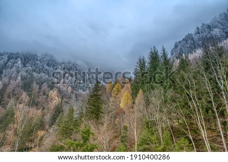 Charming autumn landscape in first early frost in Swiss Alps. Colorful autumn scene of Swiss Alps. Location: Berschis, Canton St. Gallen, Switzerland, Europe