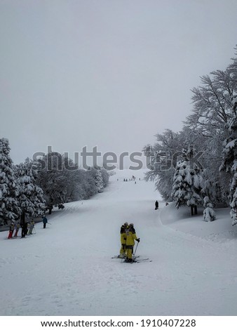 Skiing sport under white sky