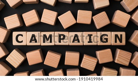 Word CAMPAIGN made with wood building blocks