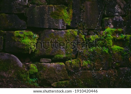 The moss-covered remains of a stone slab wall sitting lonely by a stream in the middle of the forest, slowly being reclaimed by nature.