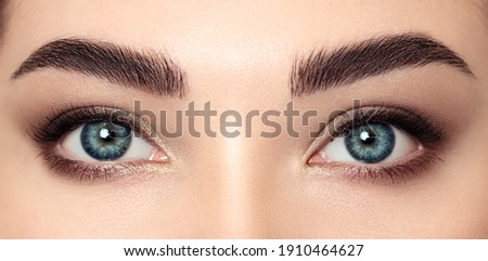 Female Eye with Extreme Long False Eyelashes. Eyelash Extensions. Makeup, Cosmetics, Beauty. Close up, Macro Royalty-Free Stock Photo #1910464627