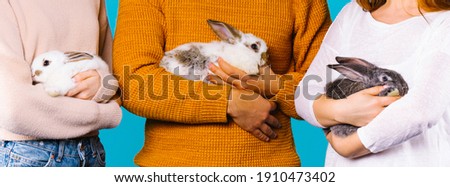 Banner- long format. Cropped photo, group of people holding rabbits on blue background. Fluffy pets siting on crossed hands. Proposition for pet shops and ads, Easter atmosphere