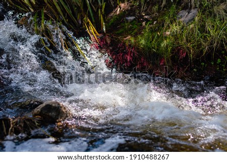 river in summer between mountains and stones with vegetation and green trees in Characato Córdoba Argentina