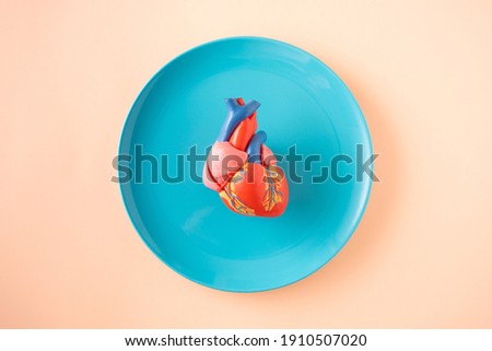 A human heart, anatomical medical model, on a light blue plate and a peach-colored pastel background. Flat lay.