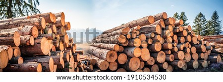 Log spruce trunks pile. Sawn trees from the forest. Logging timber wood industry. Cut trees along a road prepared for removal. Panorama Royalty-Free Stock Photo #1910534530